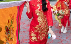 激情都市蜜桃区